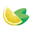 72er PACK LEMON-MINT RECHARGE