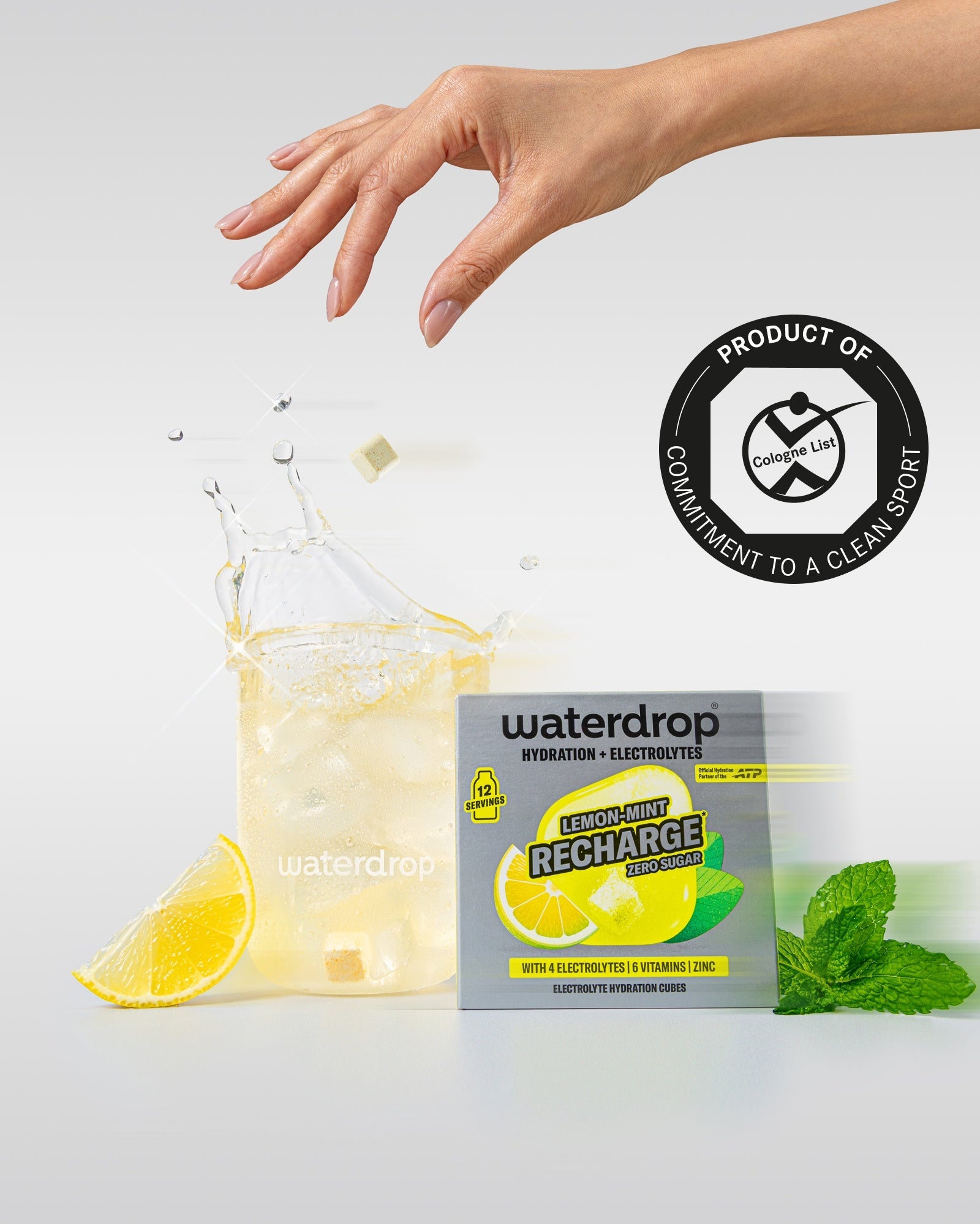 72er PACK LEMON-MINT RECHARGE